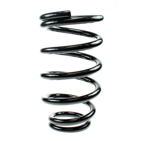 BC 4KG TAPER SPRING 118.95.205.004V